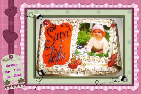 Gateau d anniversaire 1 an 